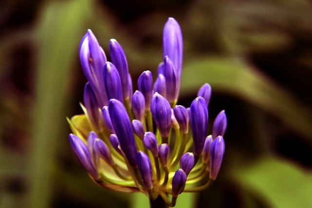 展现了情绪 展现了情绪