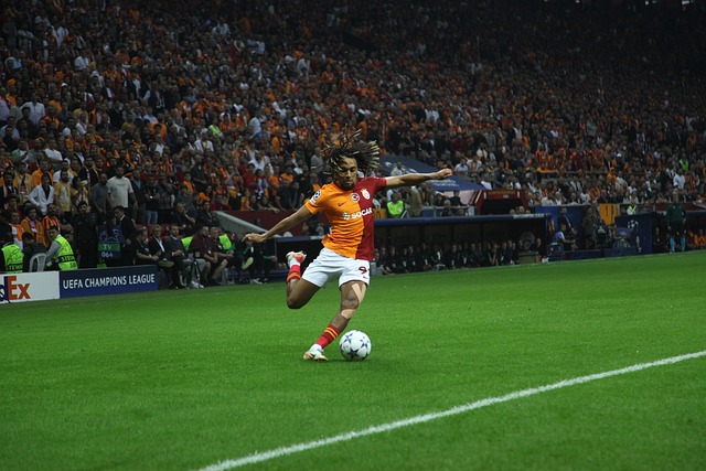 年卡塔尔世 年卡塔尔世