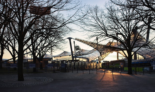 社区支持的 社区支持的