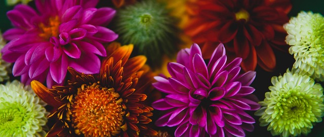 交通不便或 交通不便或